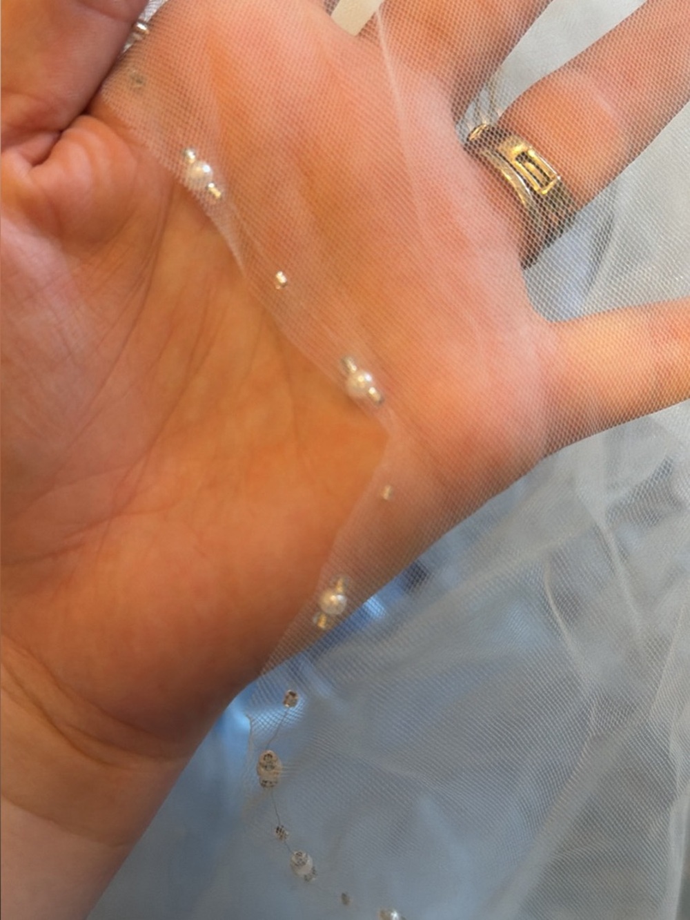 Brand new elbow length veil and hair pins
